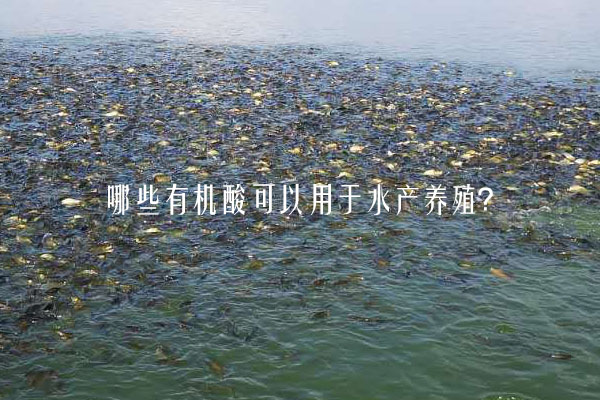 哪些有機(jī)酸可以用于水產(chǎn)養(yǎng)殖？