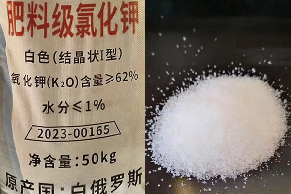 肥料級(jí)氯化鉀如何施用？